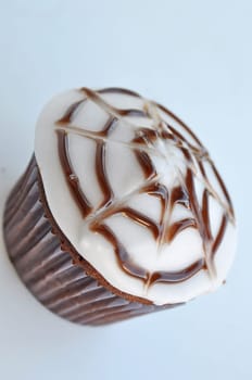 Spider Cupcakes