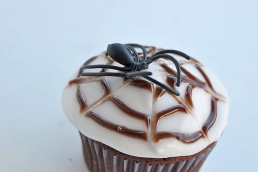 Spider Cupcakes