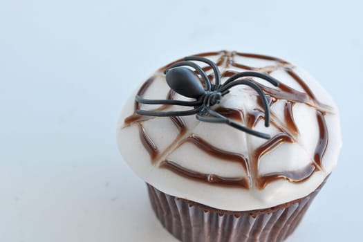 Spider Cupcakes