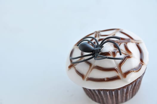 Spider Cupcakes