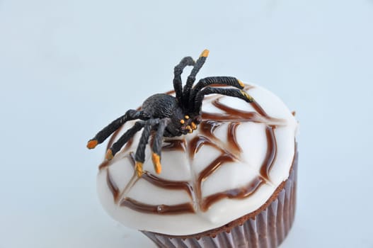 Spider Cupcakes