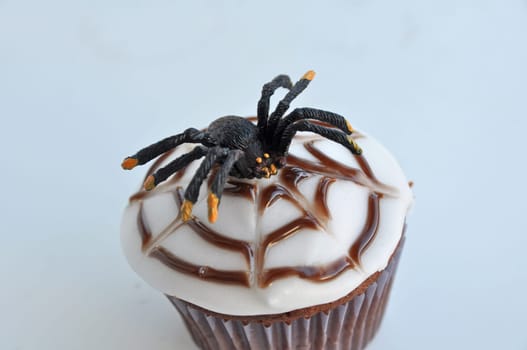 Spider Cupcakes