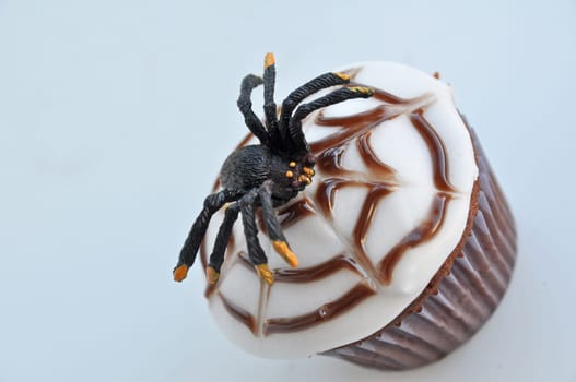 Spider Cupcakes