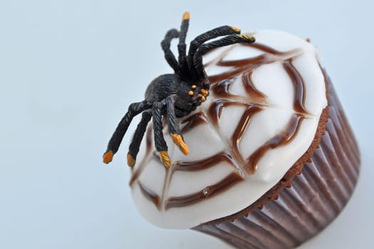 Spider Cupcakes