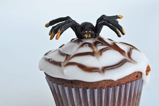 Spider Cupcakes