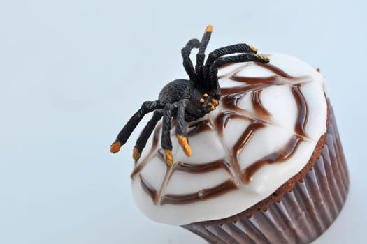Spider Cupcakes