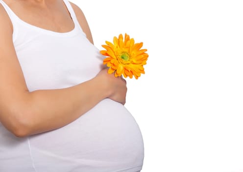 Pregnant woman touching here belly and holding a flower