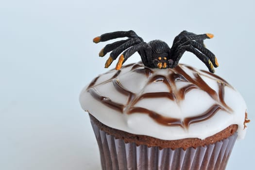 Spider Cupcakes