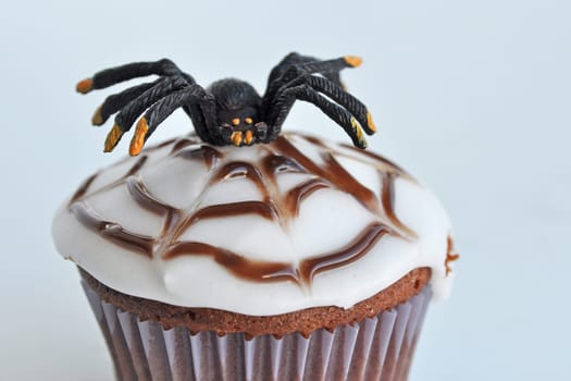 Spider Cupcakes