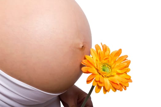 Close up of a cute pregnant belly