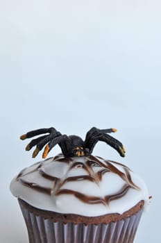 Spider Cupcakes