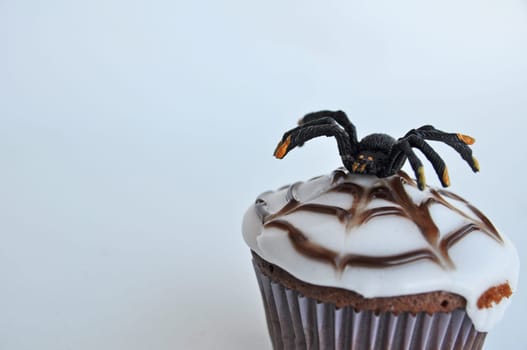 Spider Cupcakes