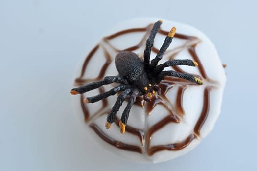 Spider Cupcakes