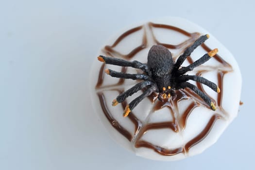 Spider Cupcakes