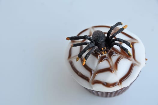 Spider Cupcakes