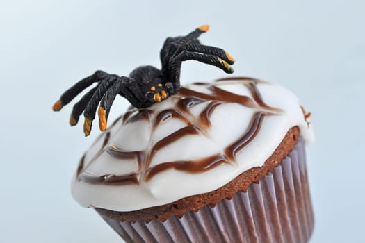 Spider Cupcakes