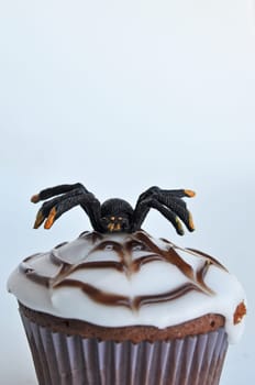 Spider Cupcakes