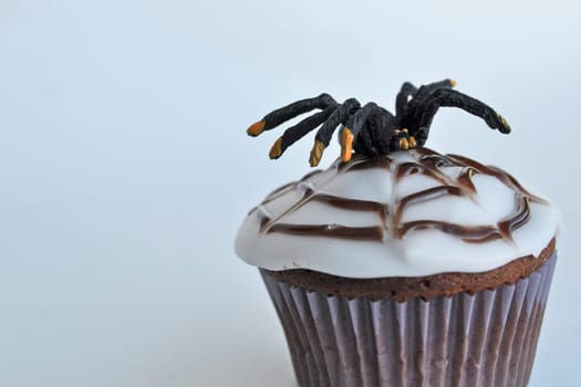 Spider Cupcakes