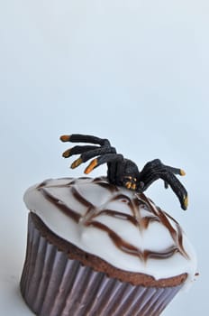 Spider Cupcakes