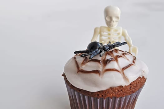 Spider Cupcakes