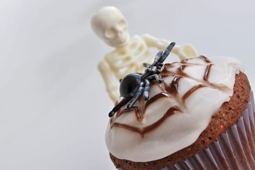 Spider Cupcakes