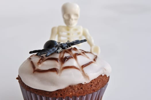 Spider Cupcakes