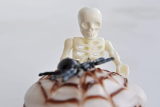 Spider Cupcakes