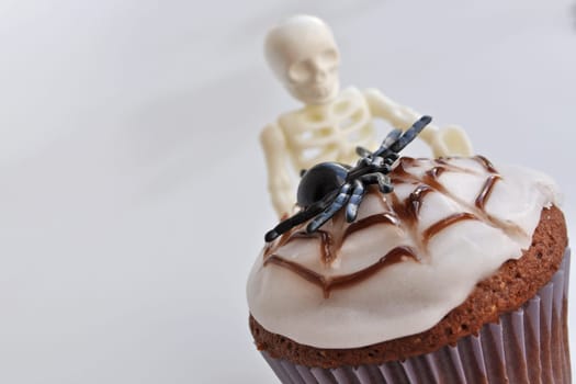 Spider Cupcakes