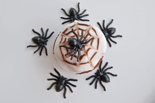 Spider Cupcakes