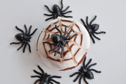 Spider Cupcakes