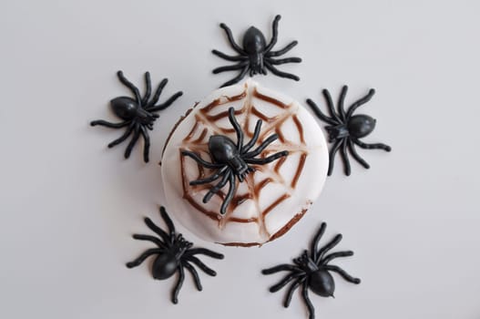 Spider Cupcakes