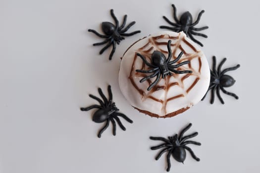 Spider Cupcakes
