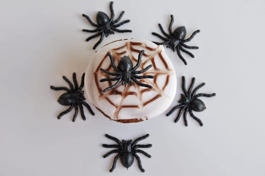 Spider Cupcakes