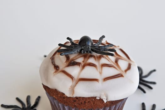 Spider Cupcakes
