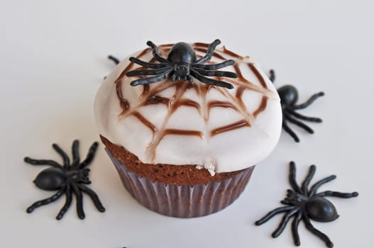 Spider Cupcakes