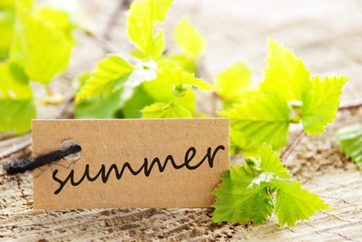 a natural looking label with summer written on it and with green leaves and wood as background