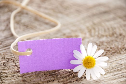 a purple banner with white marguerite flower on wooden background