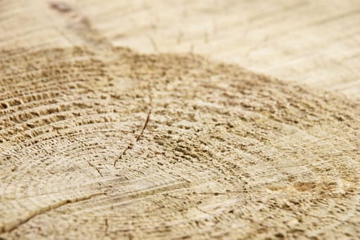 a piece of wood as background with copy space