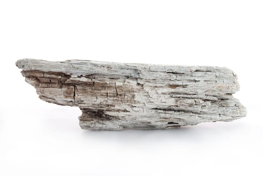 a pice of driftwood as banner with copy space, on white