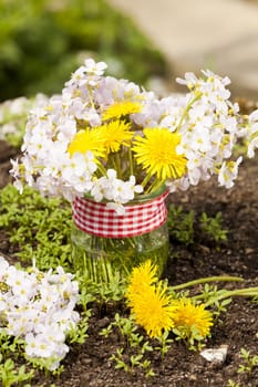 Dandelion and meadowfoam in a small jar
