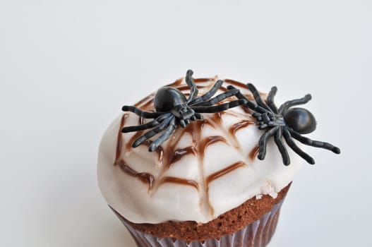Spider Cupcakes