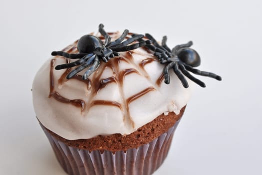 Spider Cupcakes
