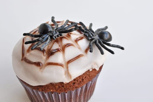 Spider Cupcakes
