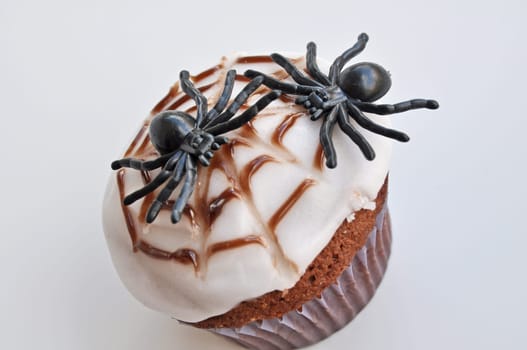 Spider Cupcakes