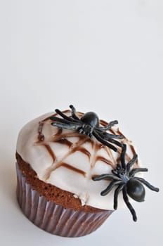 Spider Cupcakes