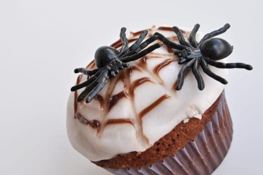 Spider Cupcakes
