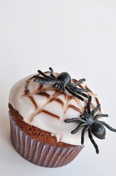 Spider Cupcakes
