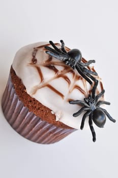Spider Cupcakes