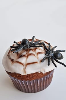 Spider Cupcakes