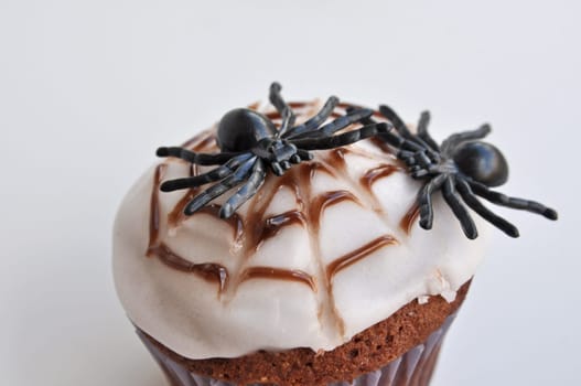 Spider Cupcakes